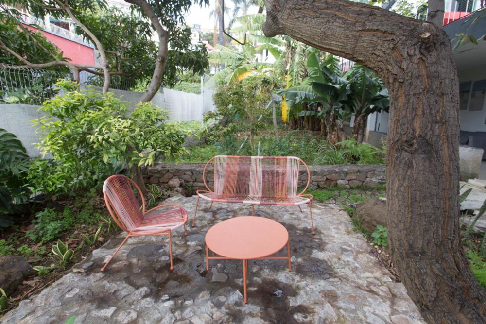 Rochinha Cozy Home Funchal (Madeira) Exterior foto