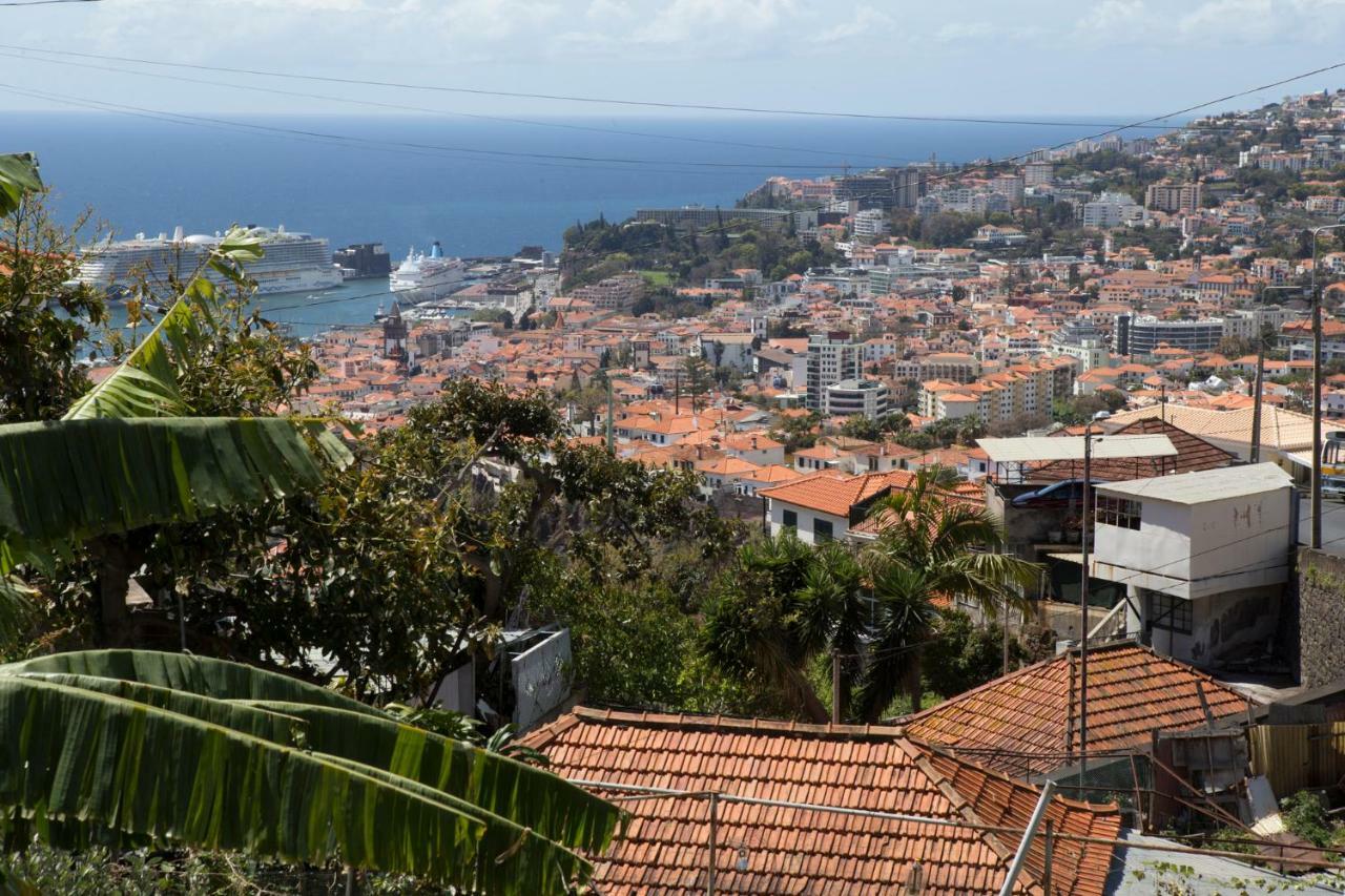 Rochinha Cozy Home Funchal (Madeira) Exterior foto