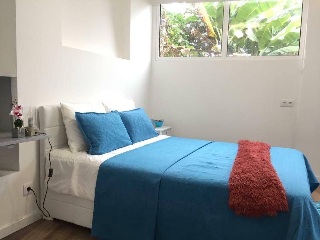 Rochinha Cozy Home Funchal (Madeira) Exterior foto