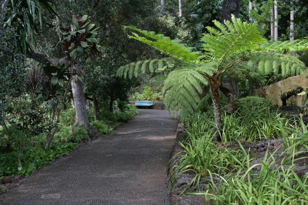 Rochinha Cozy Home Funchal (Madeira) Exterior foto